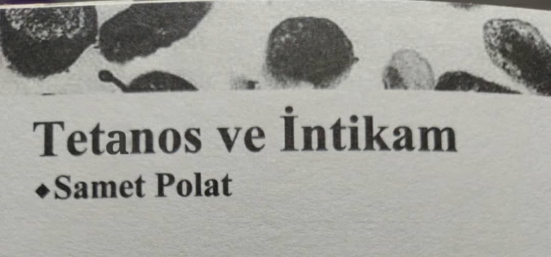 "Tetanos ve İntikam" Şiiri Parende Dergisi'nde 